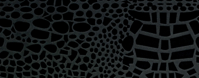 Crocodile